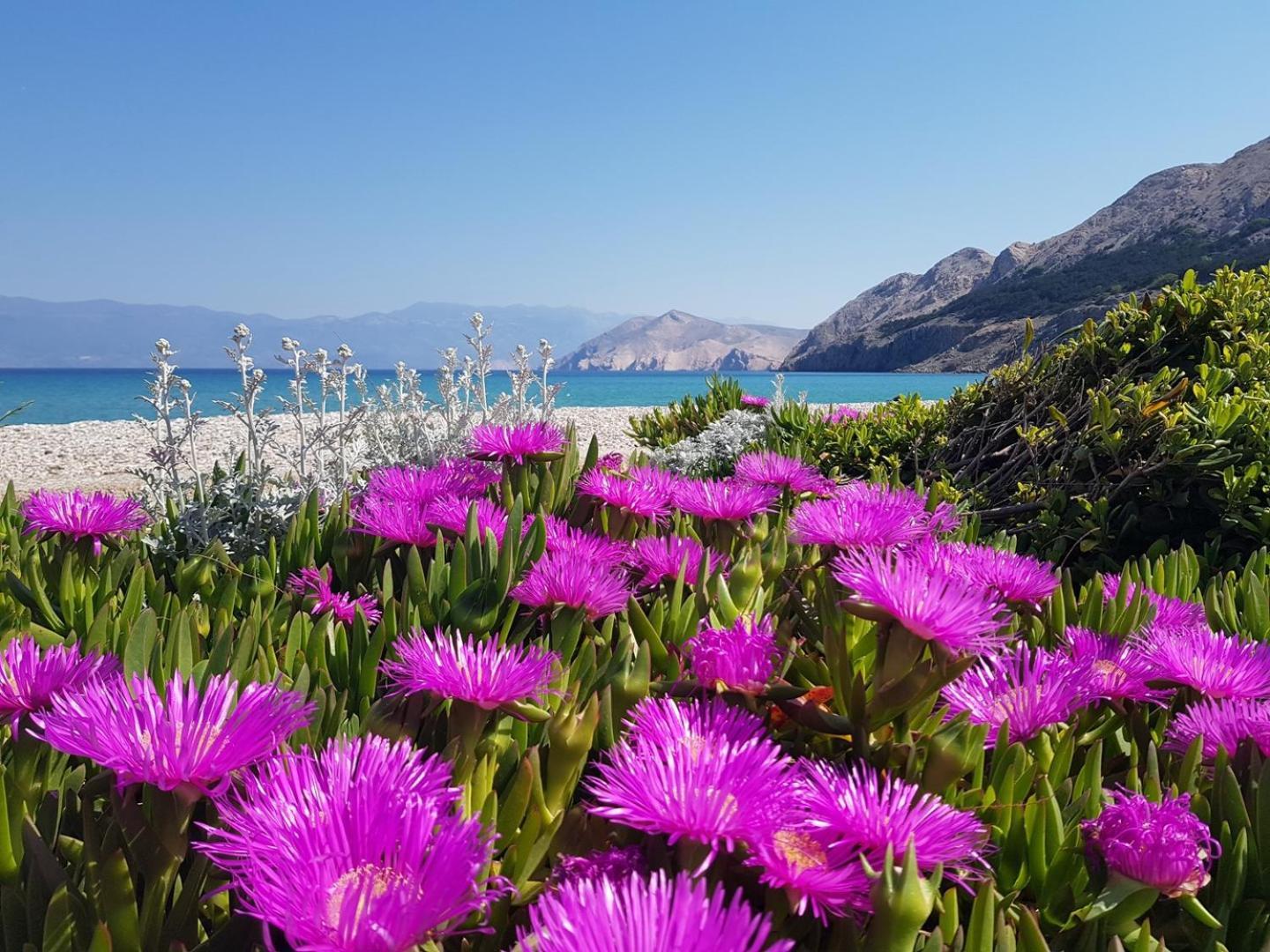 Apartments Lovincic Baška Kültér fotó